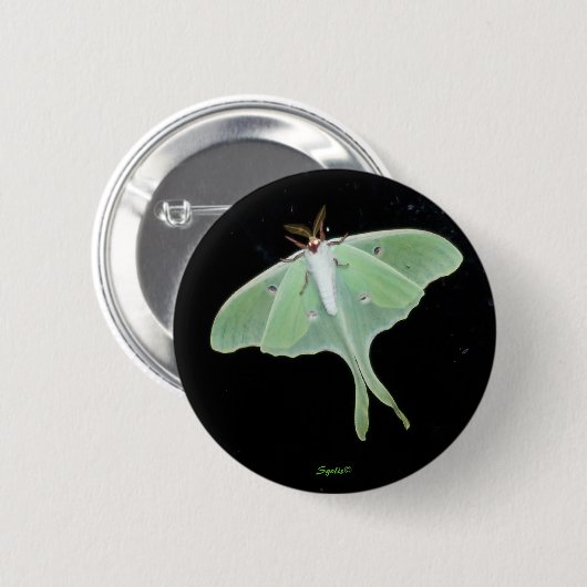 Luna Moth Insect Button (Vorne & Hinten)