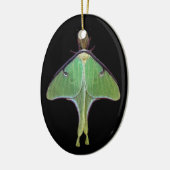 Luna Moth Keramikornament (Links)