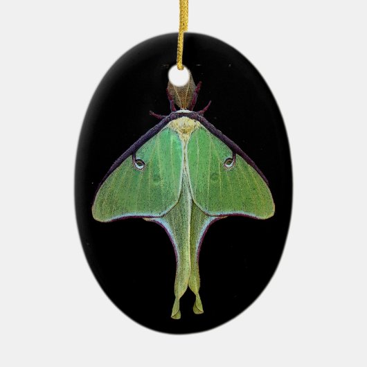 Luna Moth Keramikornament (Vorne)
