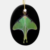 Luna Moth Keramikornament (Hinten)