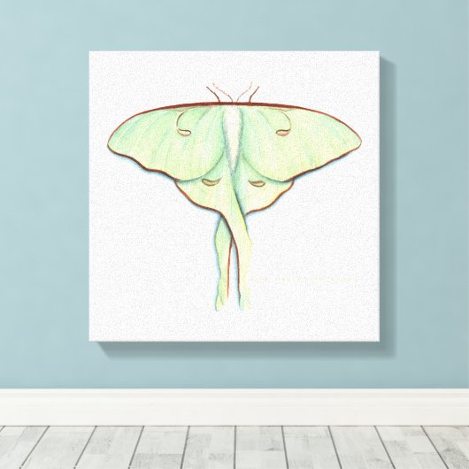 Luna Moth Leinwanddruck (Insitu (Holzboden))