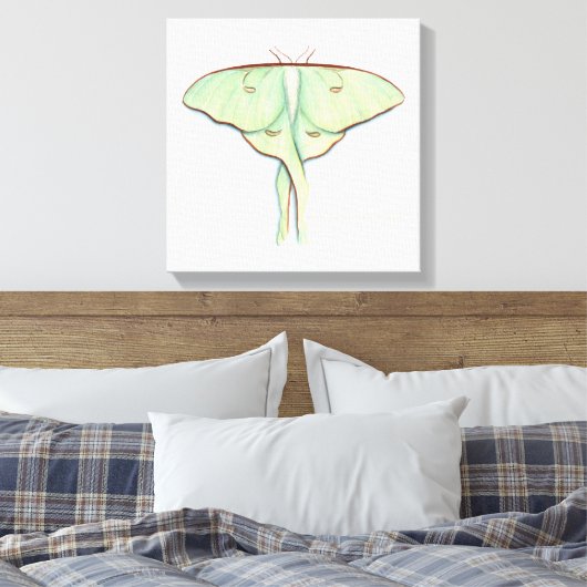 Luna Moth Leinwanddruck (Insitu (Schlafzimmer))