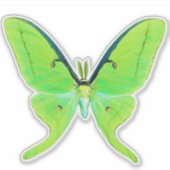 Luna Moth - Lime Green und Pale Green Aufkleber (Vorderseite)
