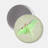 Luna Moth Magnet (Vorderseite/Rückseite)