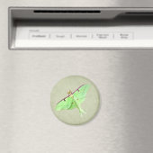 Luna Moth Magnet (In Situ (Geschirrspüler))