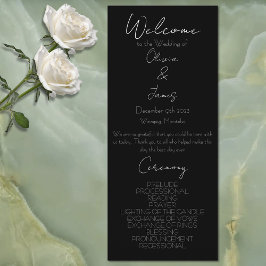 Luna Moth Moon Phases Programm