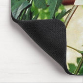 Luna Moth Mousepad (Ecke)