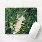 Luna Moth Mousepad (Mit Mouse)