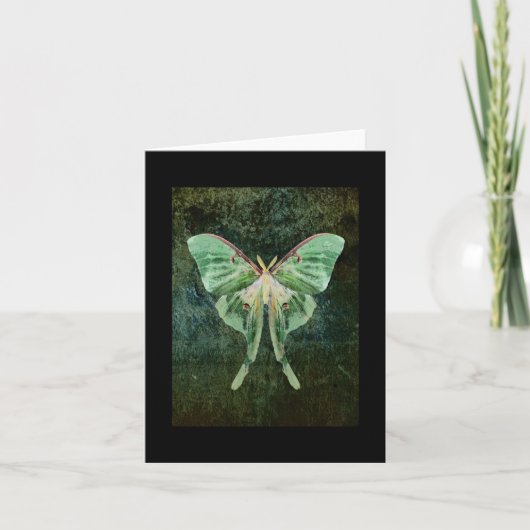 Luna Moth Note Card Karte (Vorderseite)