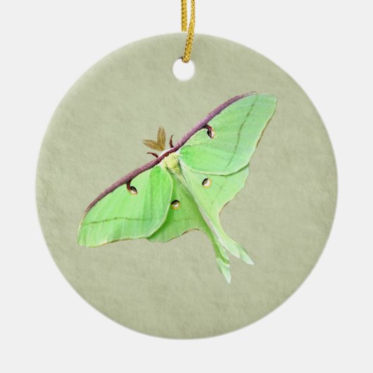 Luna Moth Ornament (Vorne)