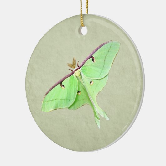 Luna Moth Ornament (Links)