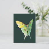 Luna Moth Painting on Dark Background Postkarte (Stehend Vorderseite)
