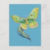 Luna Moth Painting Postkarte (Vorderseite)