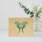 Luna Moth Post Card Postkarte (Stehend Vorderseite)
