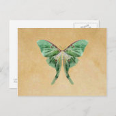 Luna Moth Post Card Postkarte (Vorne/Hinten)