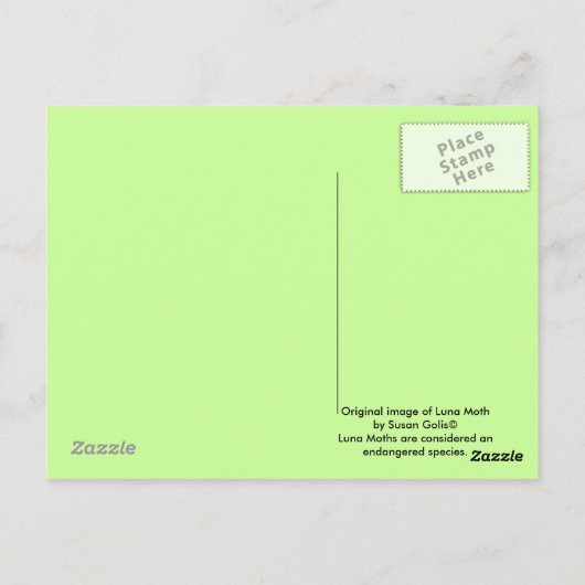 Luna Moth Postcard Postkarte (Rückseite)