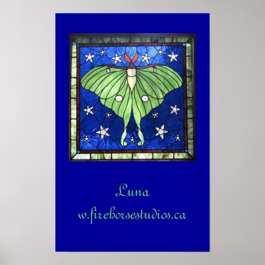 Luna Moth Poster (Vorne)
