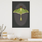 Luna Moth Poster -24x36 - andere Größen verfügbar (Küche)