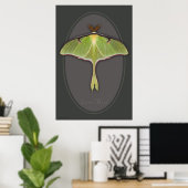 Luna Moth Poster -24x36 - andere Größen verfügbar (Heimbüro)