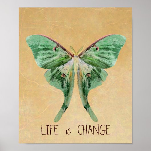 Luna Moth Print Life ist Veränderung Poster (Vorne)