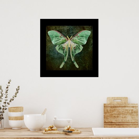 Luna Moth Print Poster (Küche)