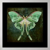 Luna Moth Print Poster (Vorne)