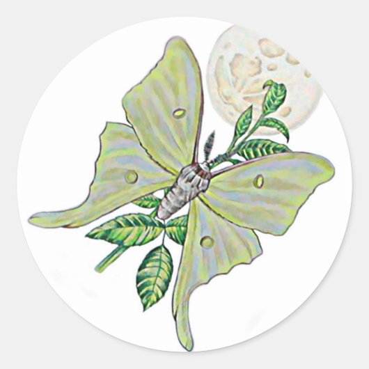 Luna Moth Runder Aufkleber (Vorderseite)