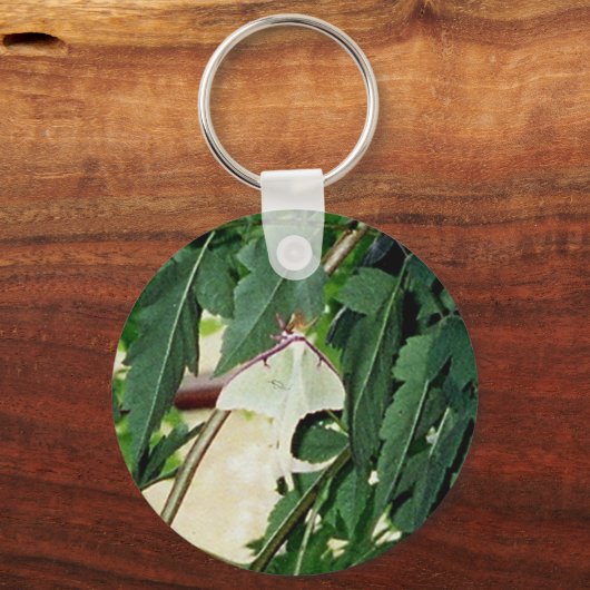 Luna Moth Schlüsselanhänger (Vorderseite)