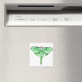 Luna Moth Square Magnet (In Situ (Geschirrspüler))