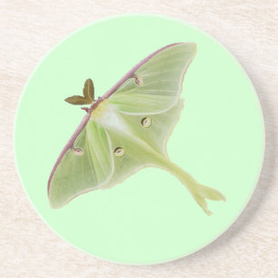 Luna Moth Untersetzer