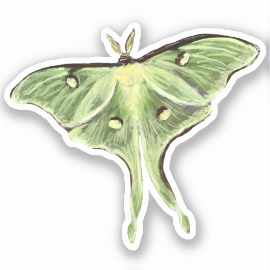Luna Moth Vinyl Sticker (Vorderseite)