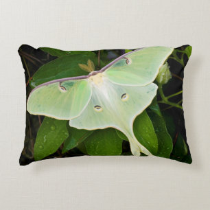 Luna-Motte auf Carnaby Clematis Dekokissen