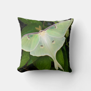 Luna-Motte auf Carnaby Clematis Kissen