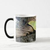 Luna-Motte auf einer verwandelnden Tasse (Links)