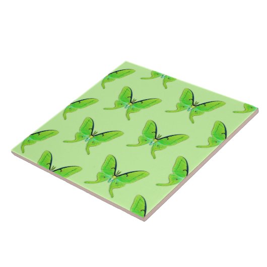 Luna-Motte auf hellgrünem Hintergrund Fliese (Seite)