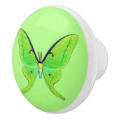 Luna-Motte auf hellgrünem Hintergrund Keramikknauf (Rechts)