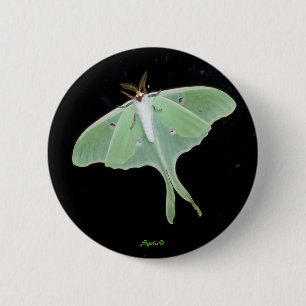 Luna-Motte Insekten-Knopf Button
