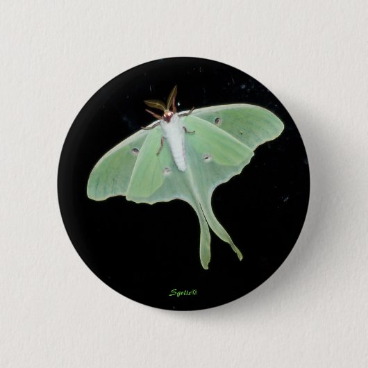 Luna-Motte Insekten-Knopf Button (Vorderseite)