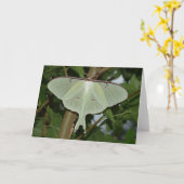 Luna-Motte Karte (Gelbe Blume)