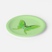 Luna-Motte - Limones Grün auf einem blassen Pappteller (Schrägansicht)