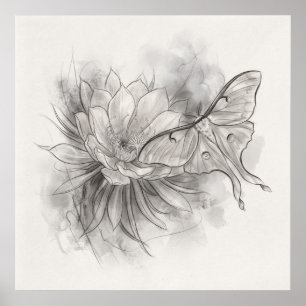Luna-Motte Lotusblume Monochrome-Skizze Poster