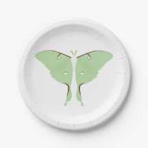 Luna-Motte - PapierTeller