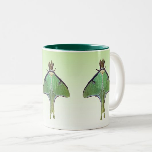 Luna-Motte Zweifarbige Tasse (VorderseiteRechts)