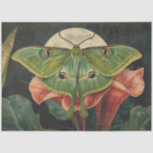 Luna-Motten-Gewächshaus-Botanik Seidenpapier (Vorderseite)