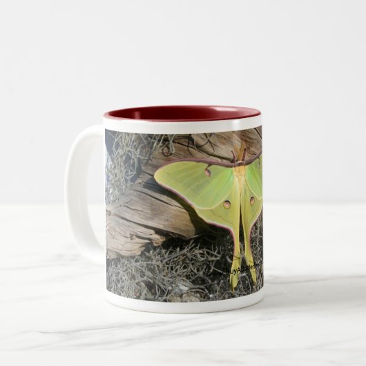 Luna-Motten-Kaffee-Tasse Zweifarbige Tasse (Vorderseite Links)