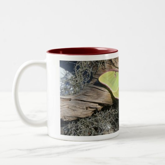 Luna-Motten-Kaffee-Tasse Zweifarbige Tasse (Links)