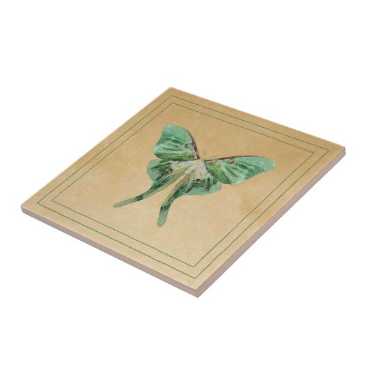 Luna-Motten-Keramik-Kunst-Fliese Fliese (Seite)