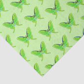 Luna-Motten - Linde grün auf hellgrünem Hintergrun Seidenpapier (Ausschnitt)