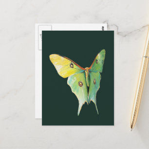 Luna-Motten-Malerei auf dunklem Hintergrund Postkarte