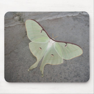 Luna-Mottengrau Hintergrund-mousepad Mousepad